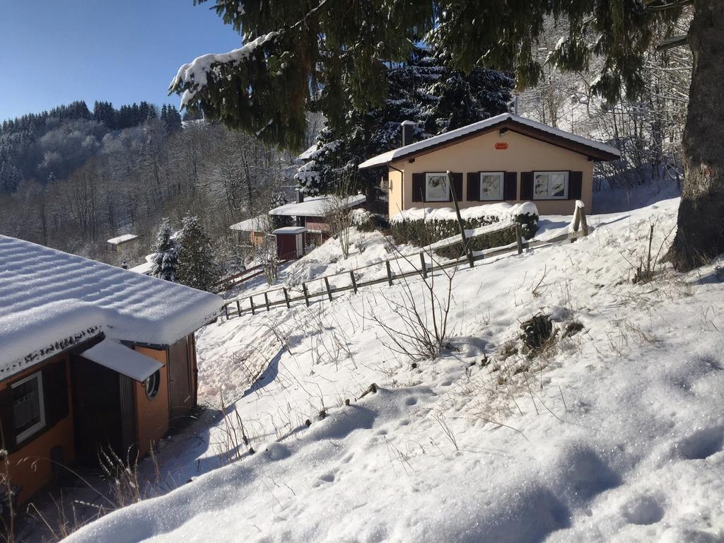 Schoene Aussicht Sankt Andreasberg Buitenkant foto