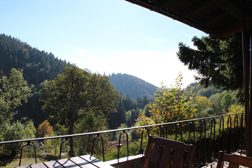 Schoene Aussicht Sankt Andreasberg Buitenkant foto