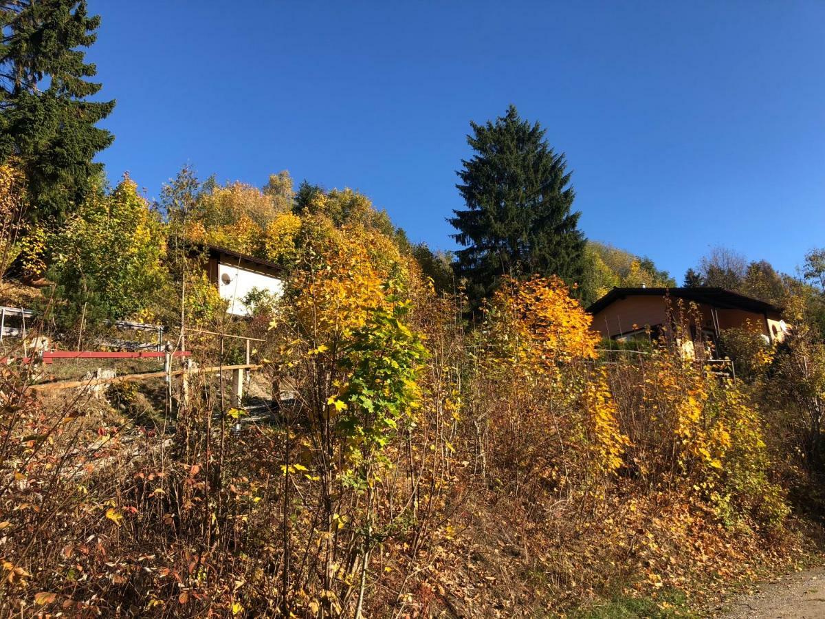 Schoene Aussicht Sankt Andreasberg Buitenkant foto